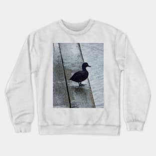 Lovely Weather for Ducks Crewneck Sweatshirt